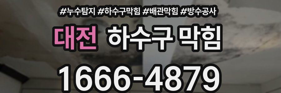 대전 하수구 막힘
