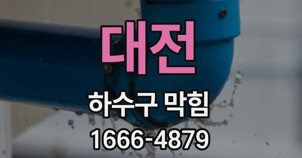 대전 하수구 막힘