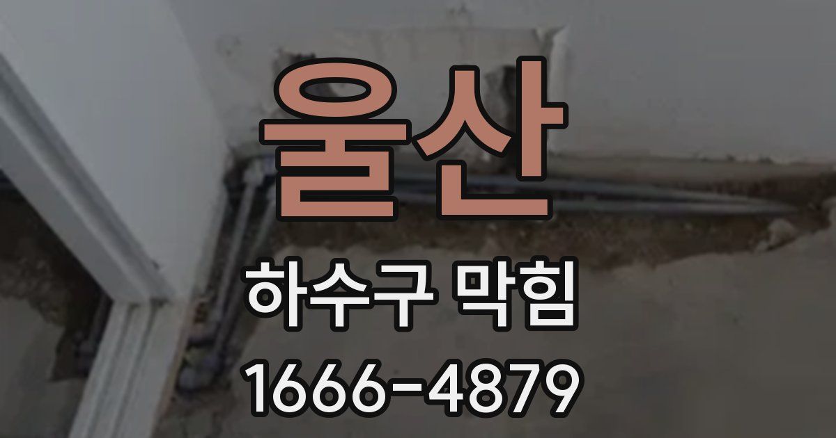울산 하수구 막힘