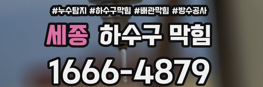세종 하수구 막힘