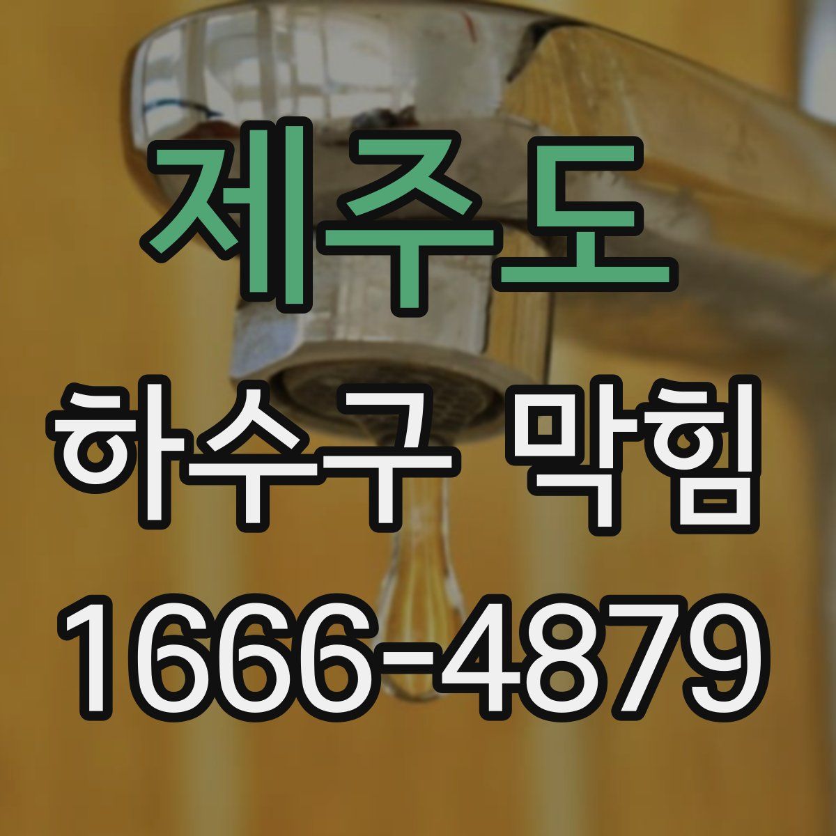제주도 하수구 막힘