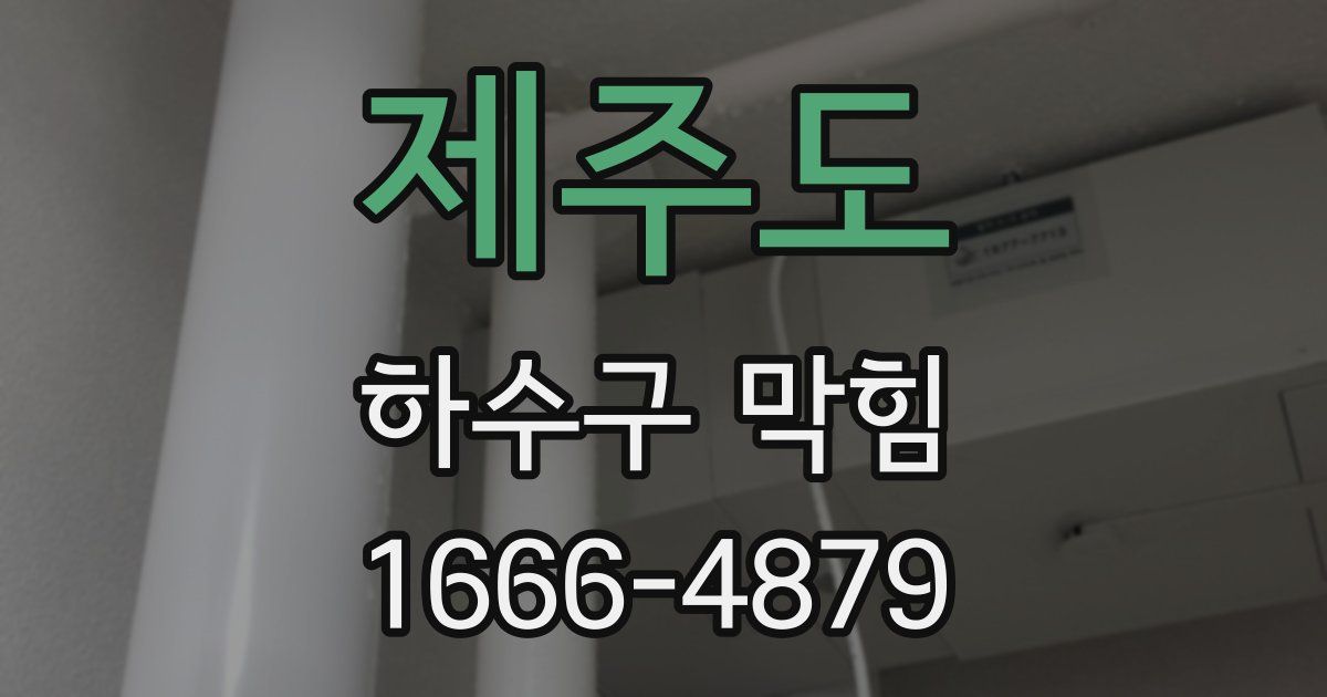 제주도 하수구 막힘