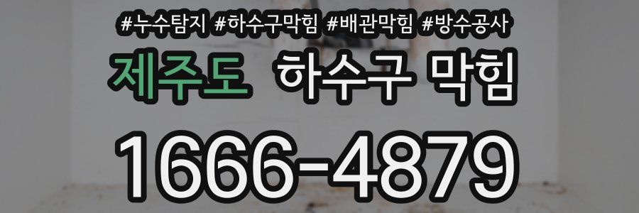 제주도 하수구 막힘