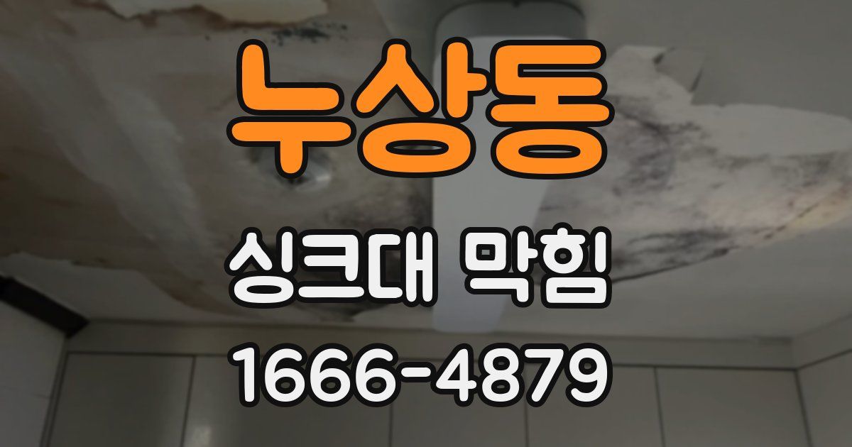 누상동 싱크대 막힘