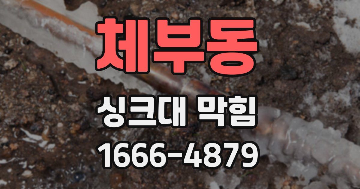 체부동 싱크대 막힘