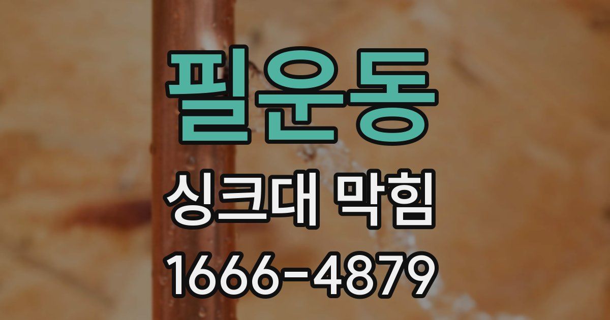 필운동 싱크대 막힘