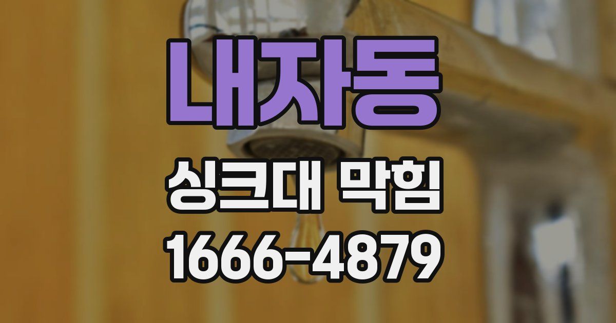 내자동 싱크대 막힘