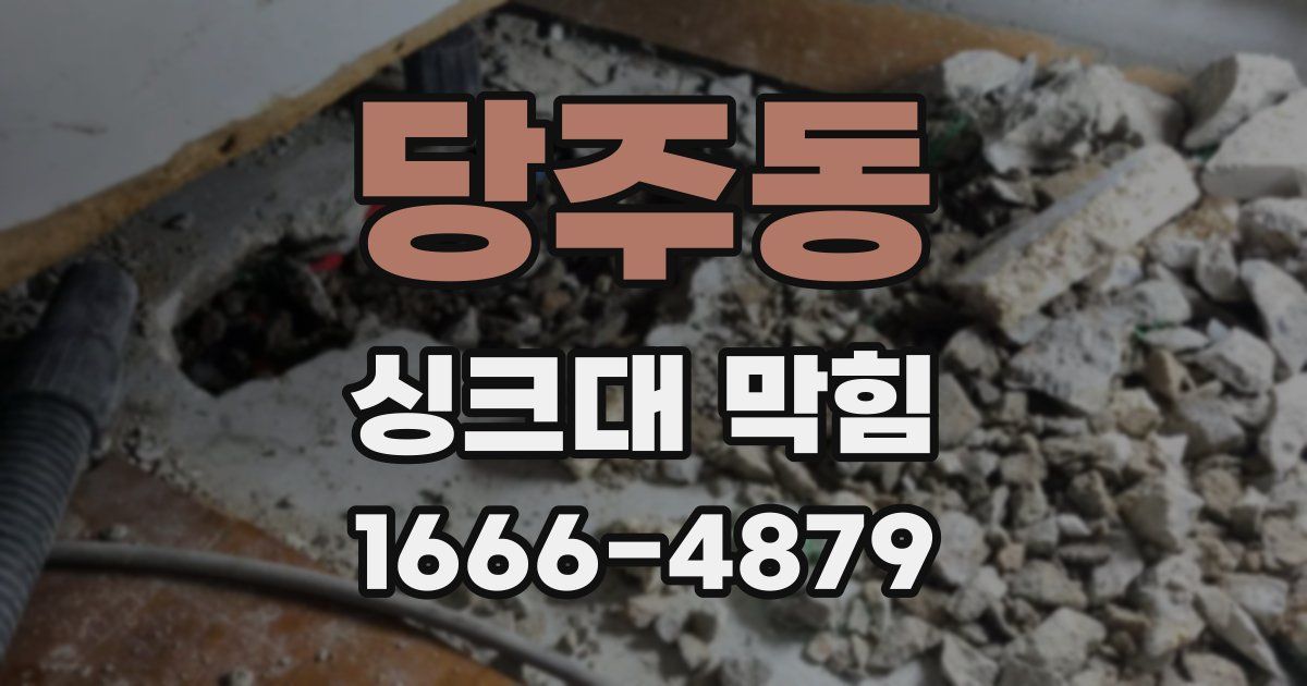 당주동 싱크대 막힘