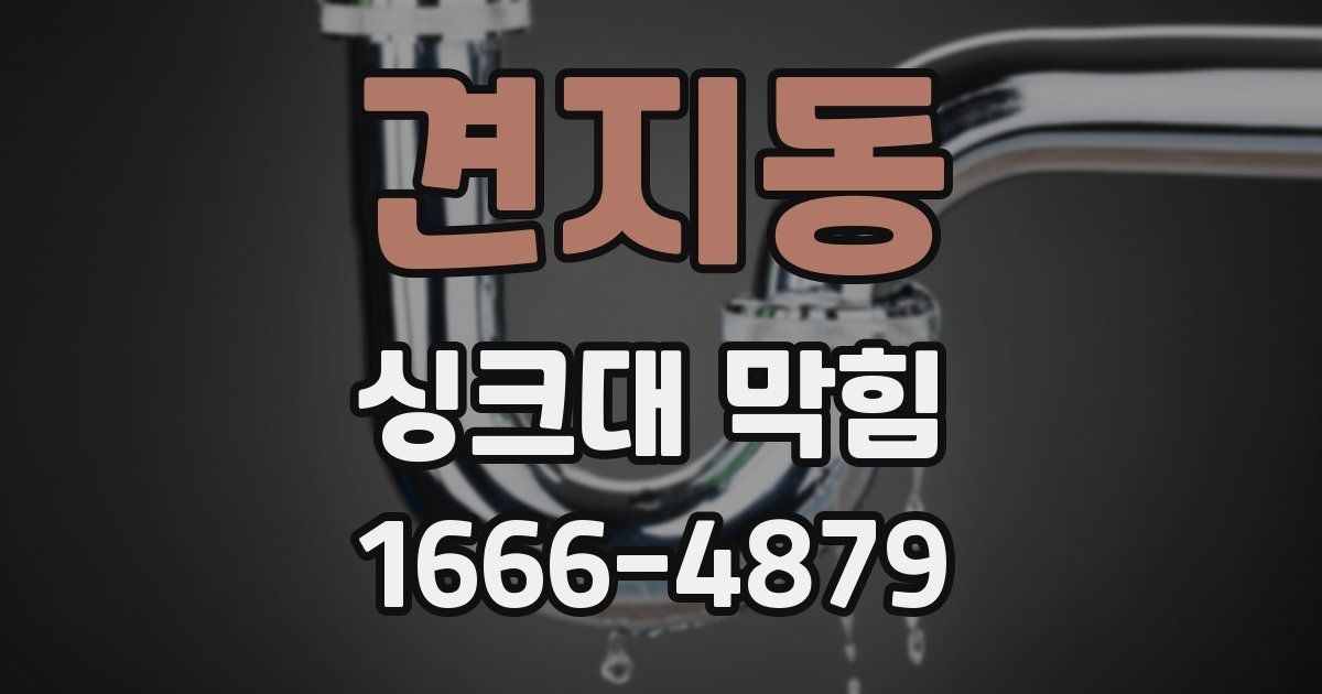 견지동 싱크대 막힘
