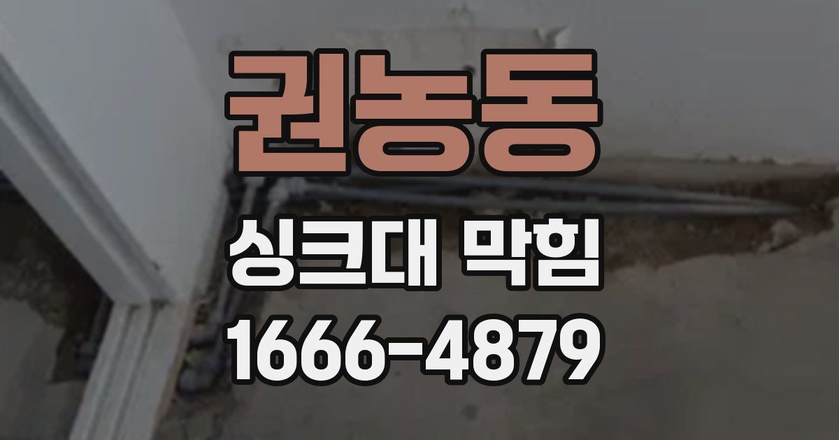 권농동 싱크대 막힘