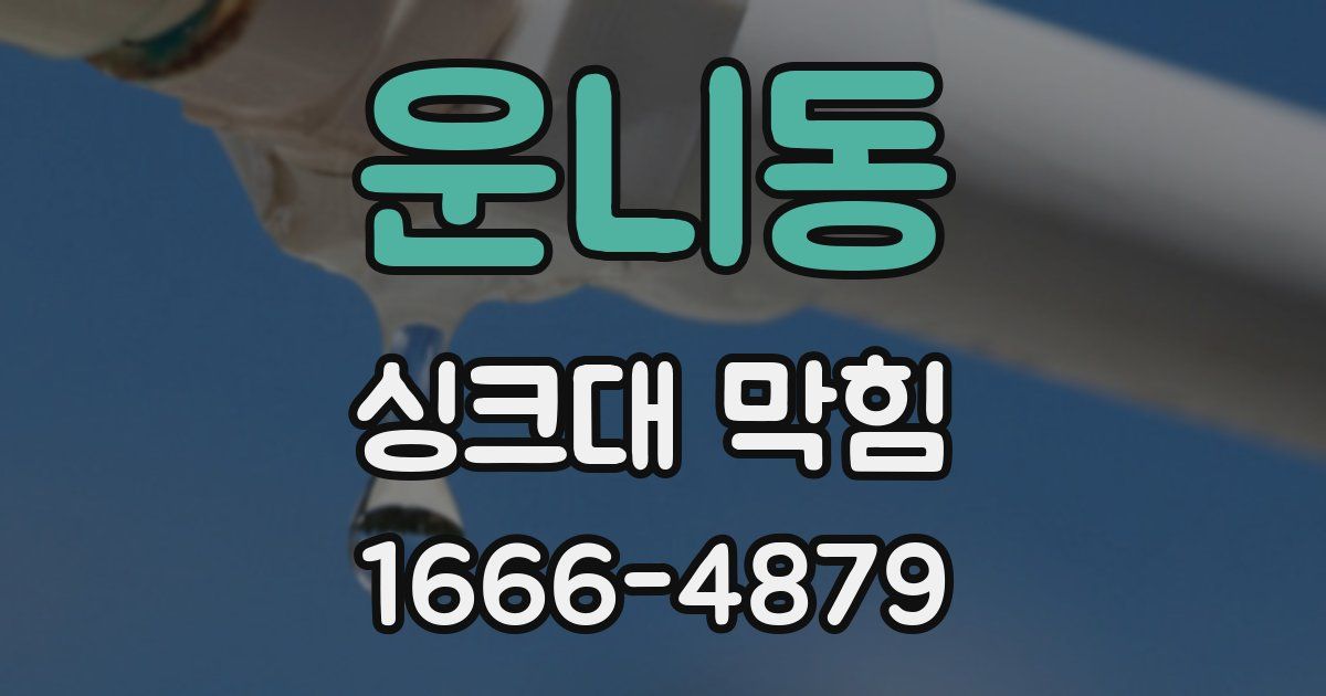 운니동 싱크대 막힘