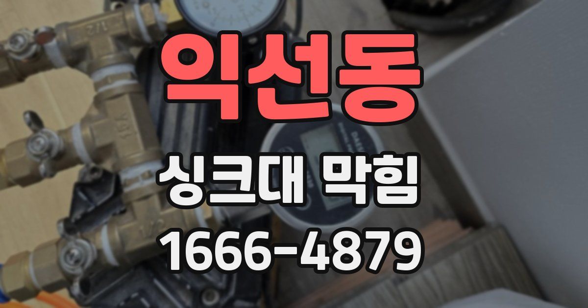 익선동 싱크대 막힘