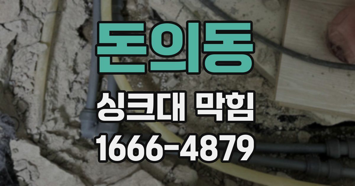 돈의동 싱크대 막힘