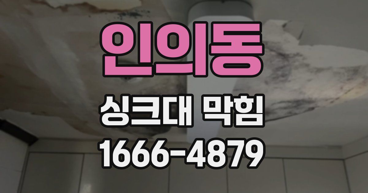 인의동 싱크대 막힘