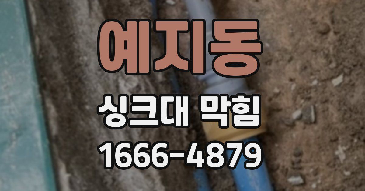 예지동 싱크대 막힘
