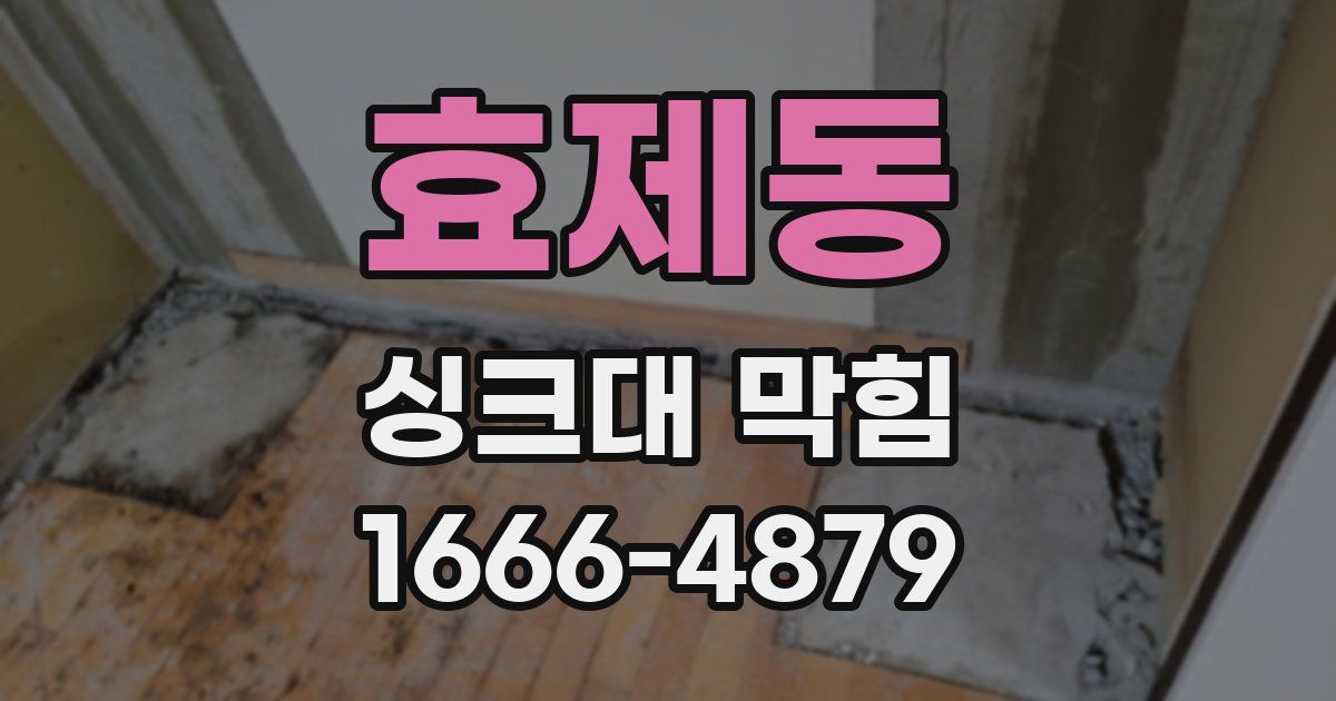 효제동 싱크대 막힘