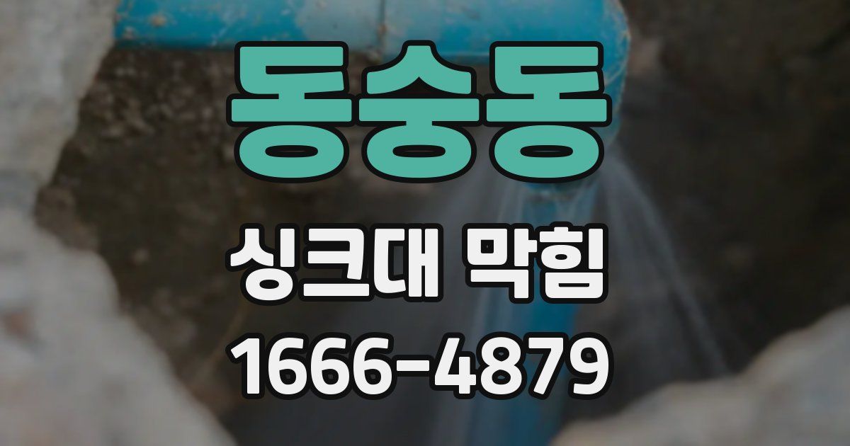 동숭동 싱크대 막힘