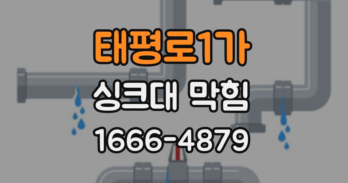 태평로1가 싱크대 막힘