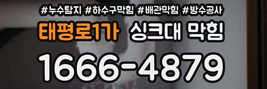 태평로1가 싱크대 막힘