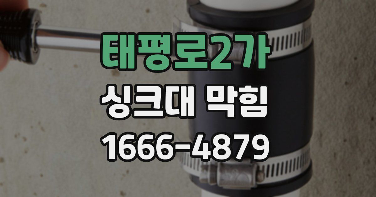 태평로2가 싱크대 막힘