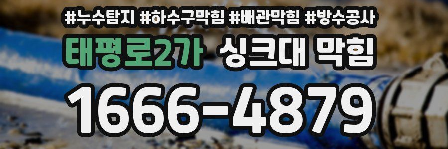 태평로2가 싱크대 막힘