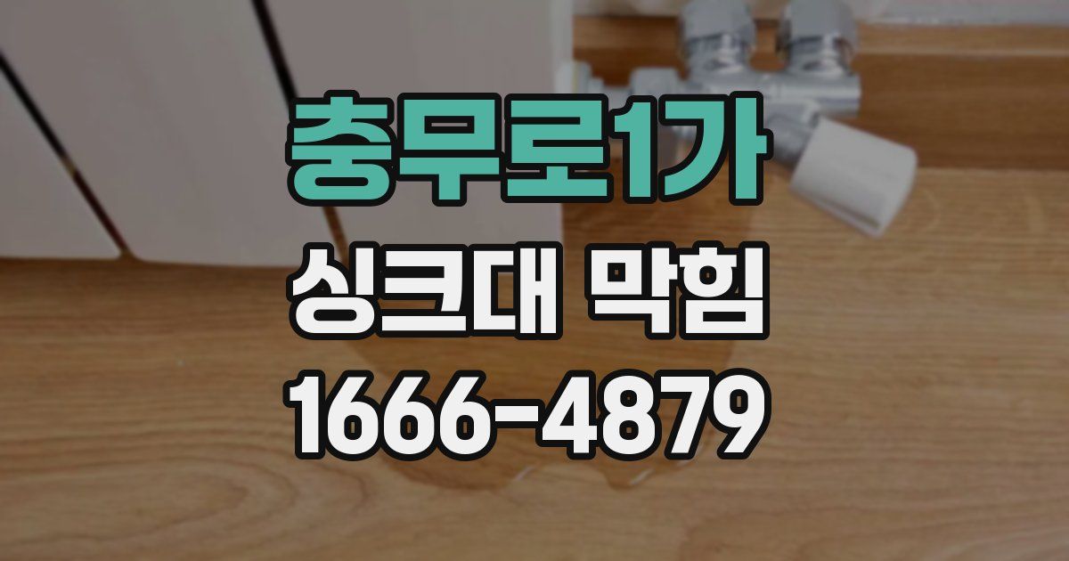 충무로1가 싱크대 막힘