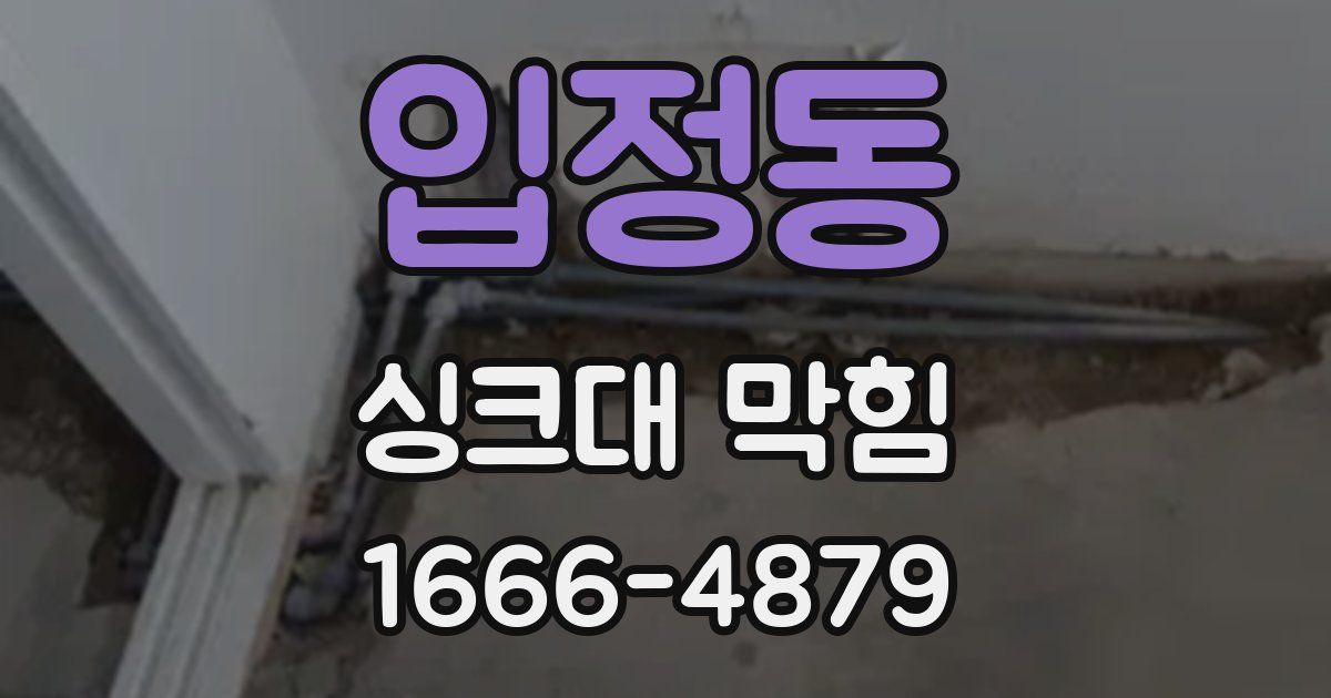 입정동 싱크대 막힘