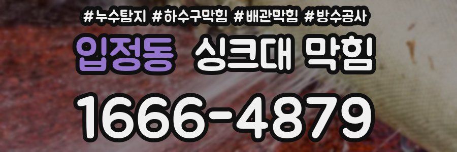 입정동 싱크대 막힘