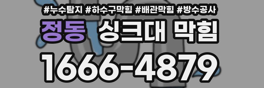 정동 싱크대 막힘