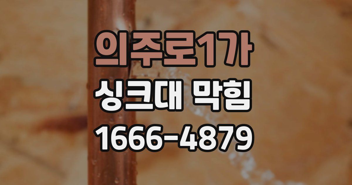 의주로1가 싱크대 막힘