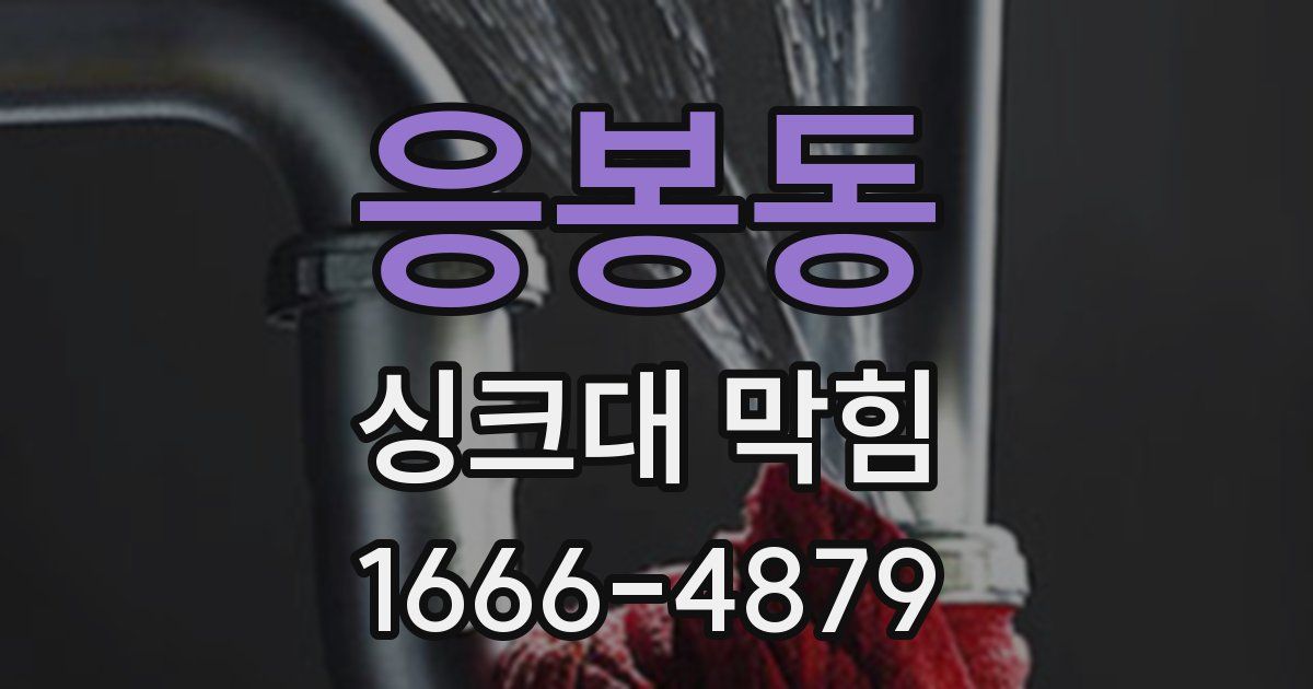 응봉동 싱크대 막힘