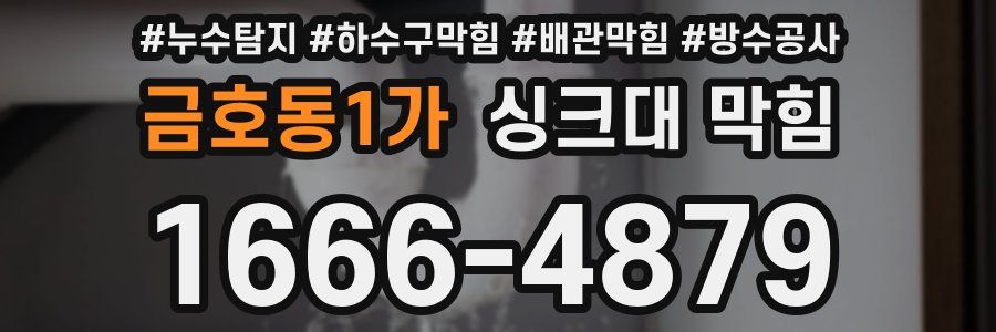 금호동1가 싱크대 막힘