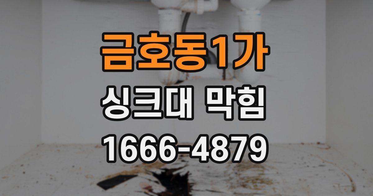금호동1가 싱크대 막힘
