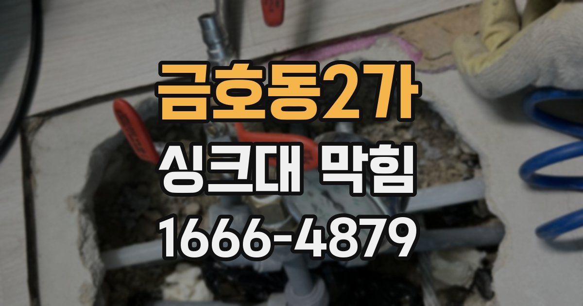 금호동2가 싱크대 막힘