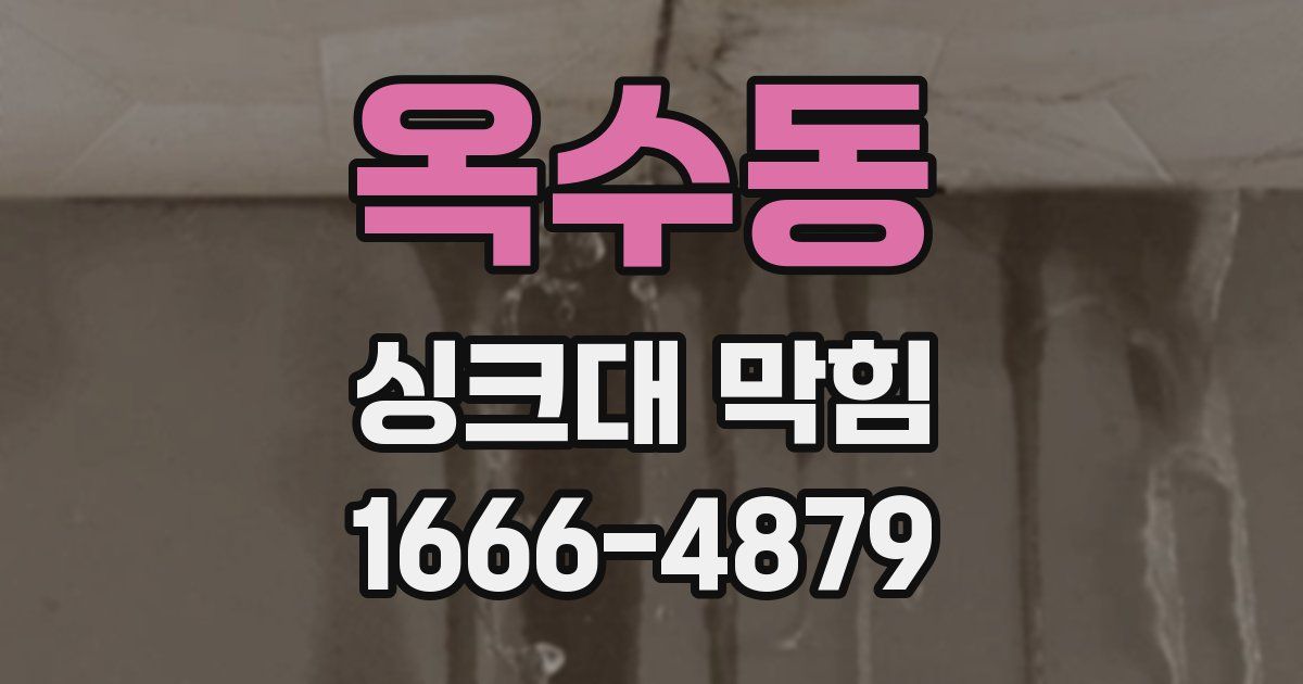 옥수동 싱크대 막힘