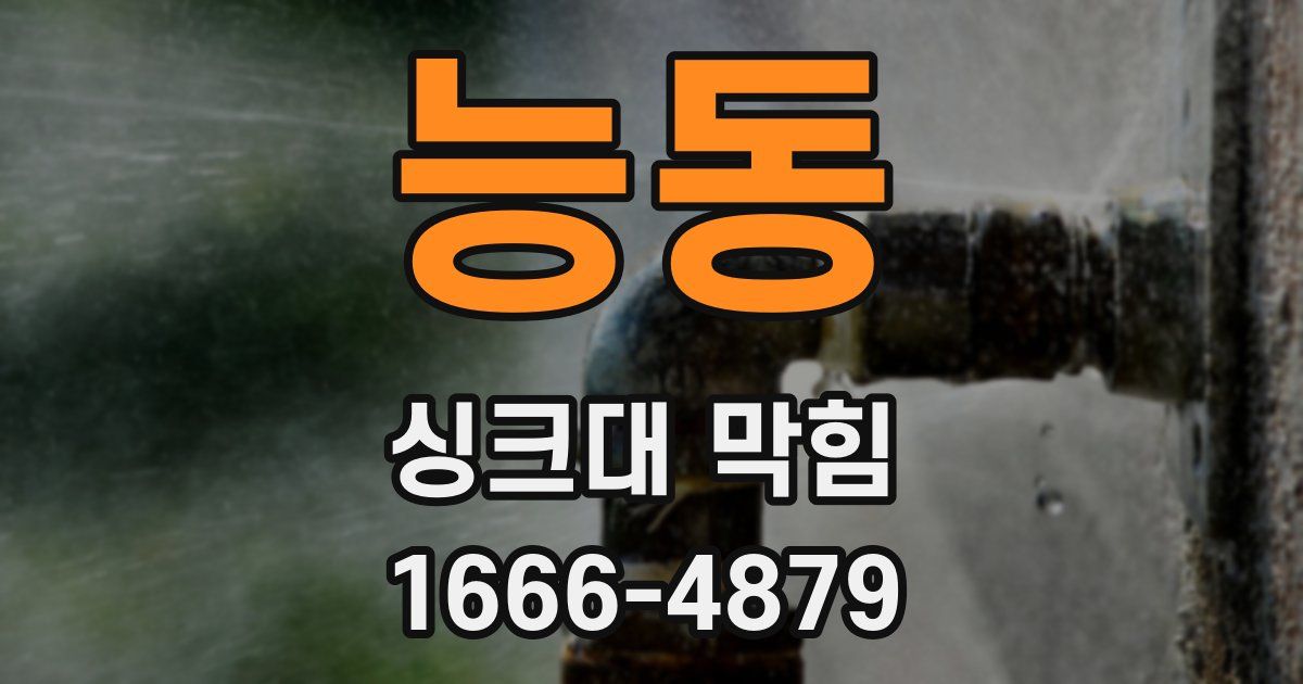 능동 싱크대 막힘