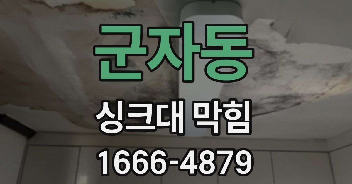 군자동 싱크대 막힘