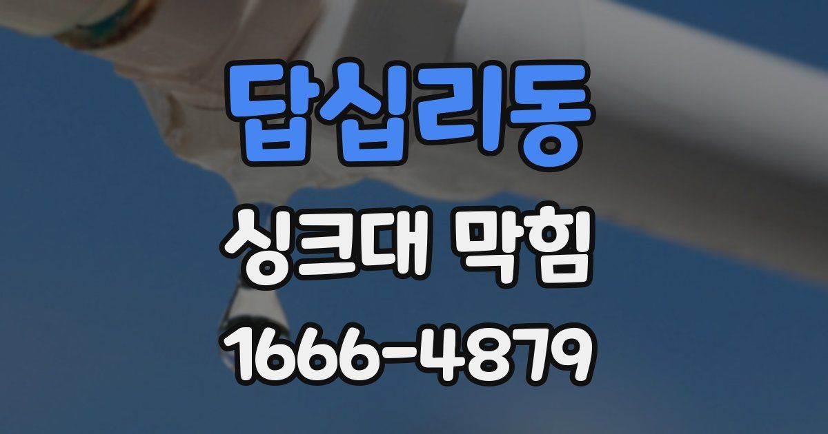 답십리동 싱크대 막힘