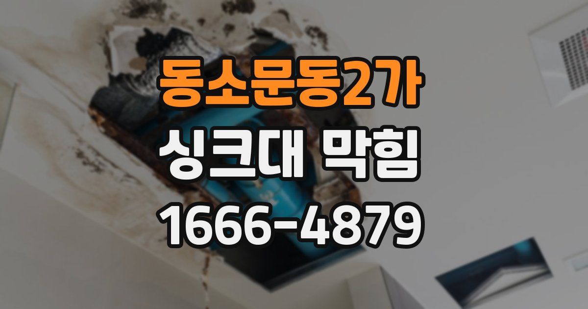 동소문동2가 싱크대 막힘