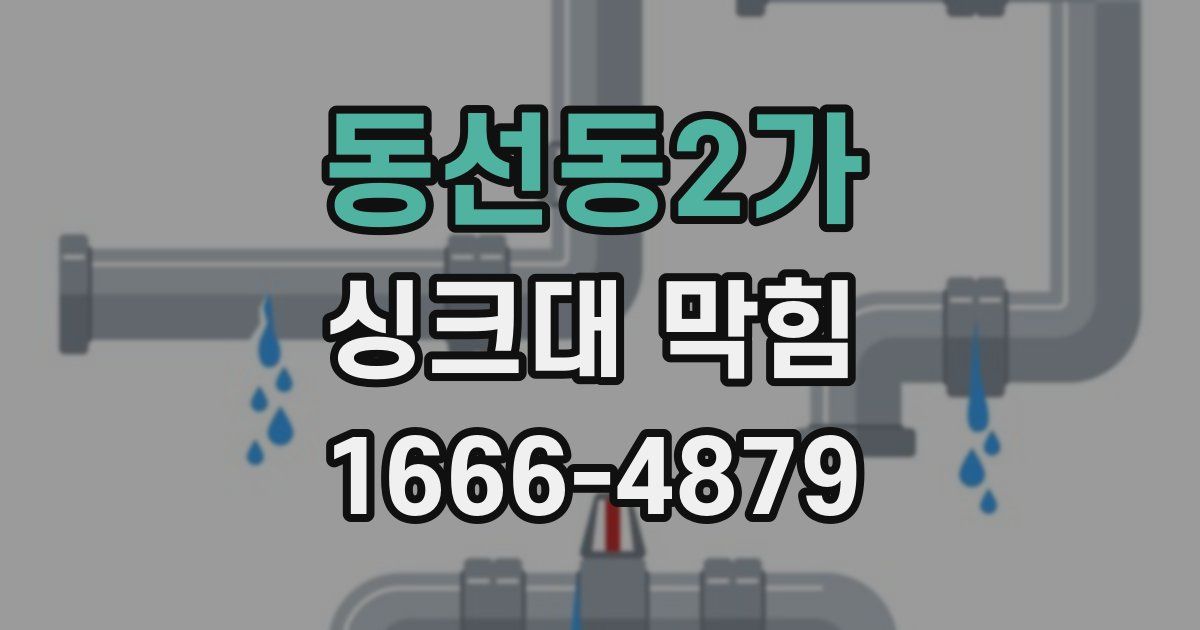 동선동2가 싱크대 막힘