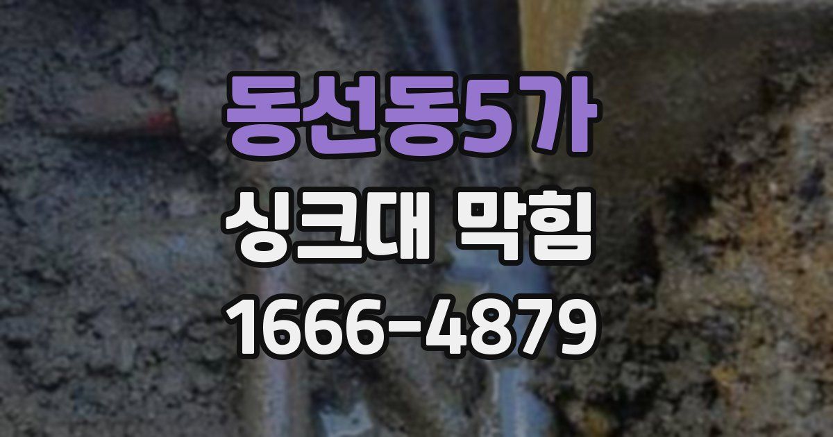 동선동5가 싱크대 막힘