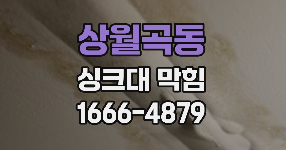 상월곡동 싱크대 막힘