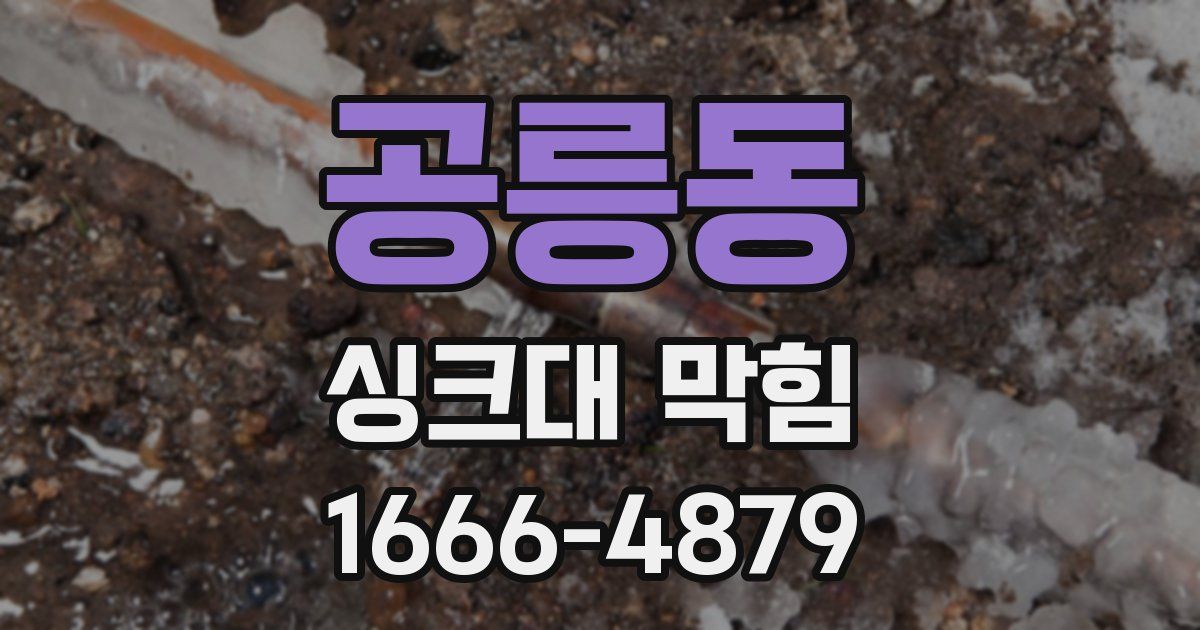 공릉동 싱크대 막힘