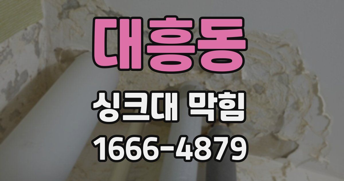 대흥동 싱크대 막힘