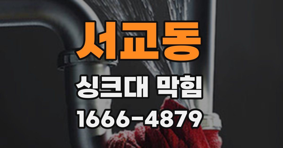 서교동 싱크대 막힘