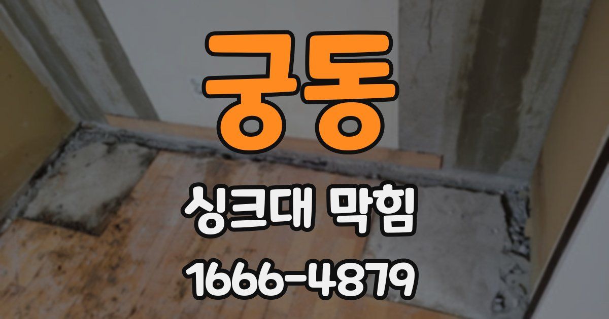 궁동 싱크대 막힘