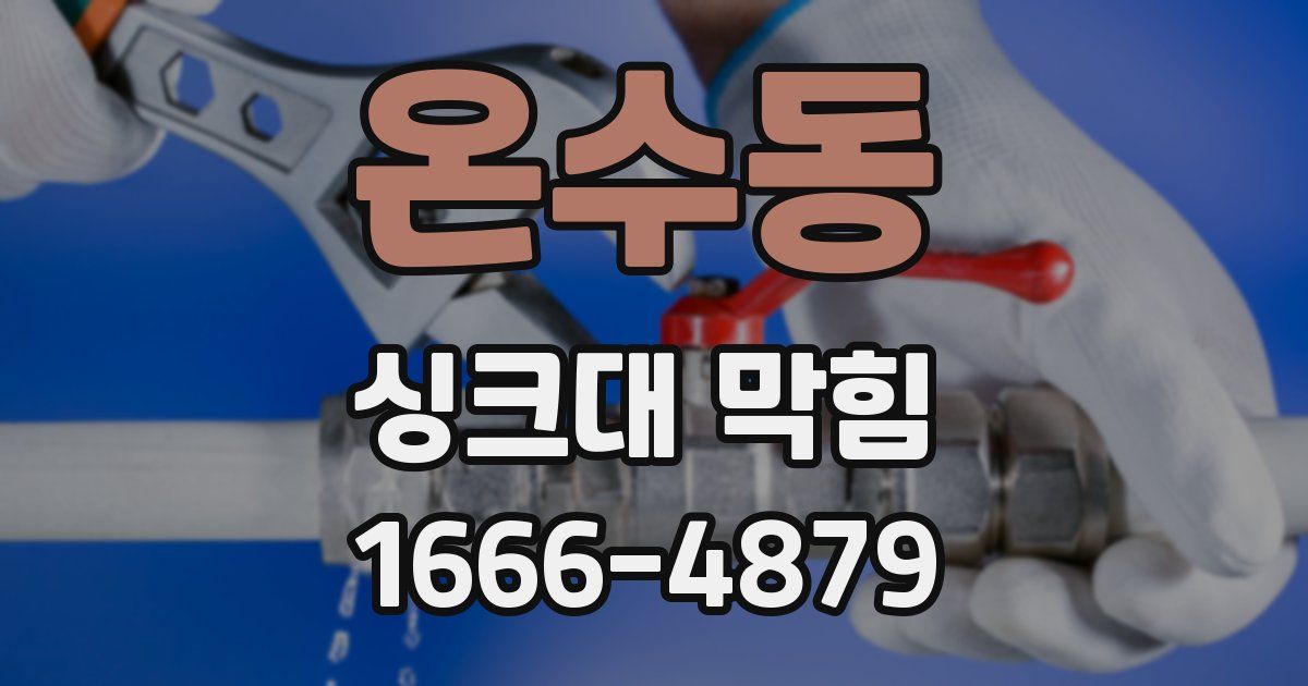 온수동 싱크대 막힘