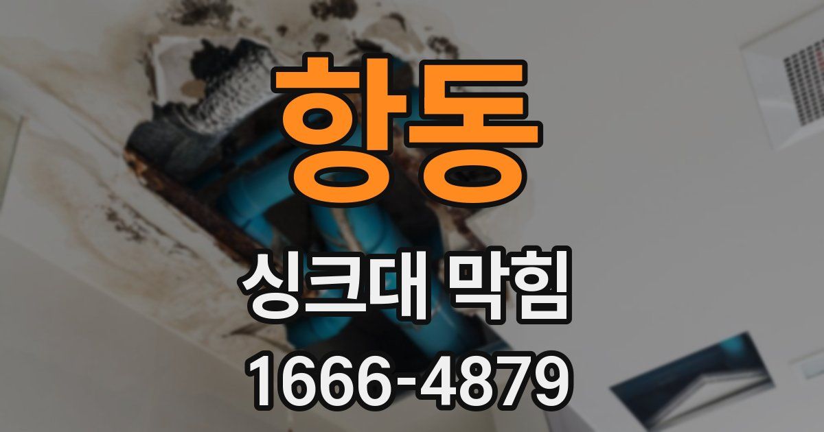 항동 싱크대 막힘