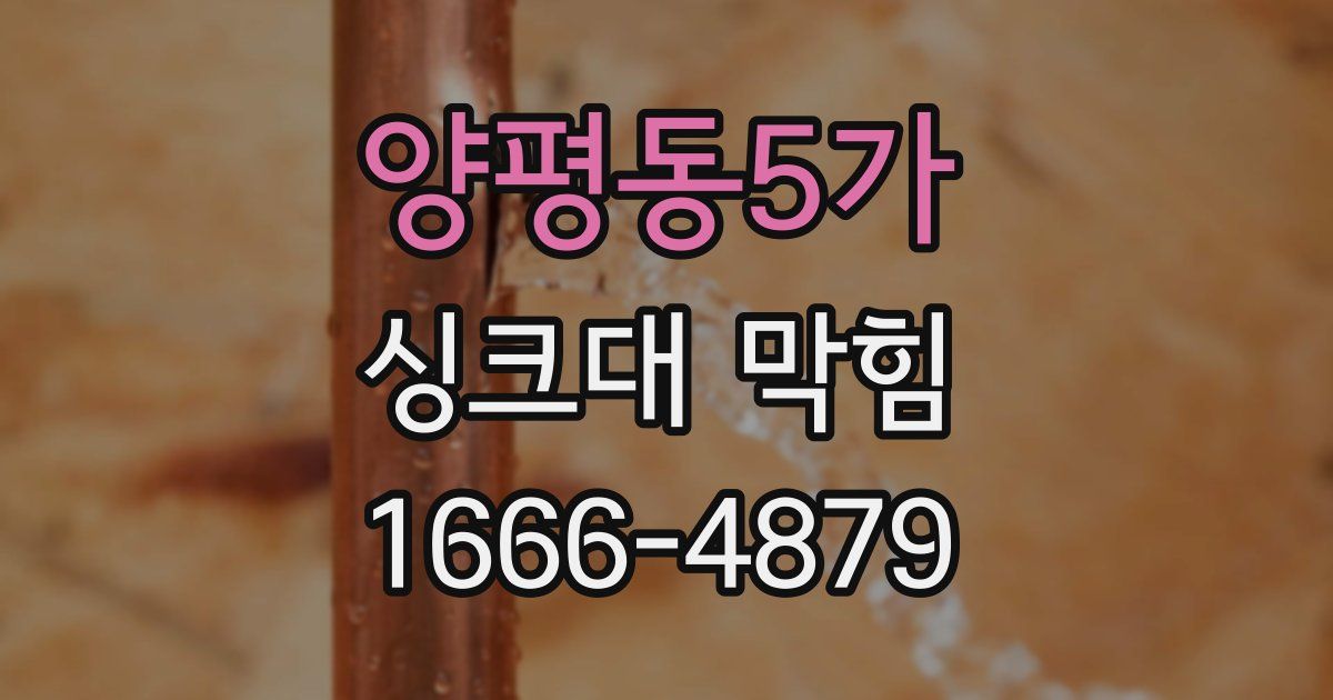 양평동5가 싱크대 막힘