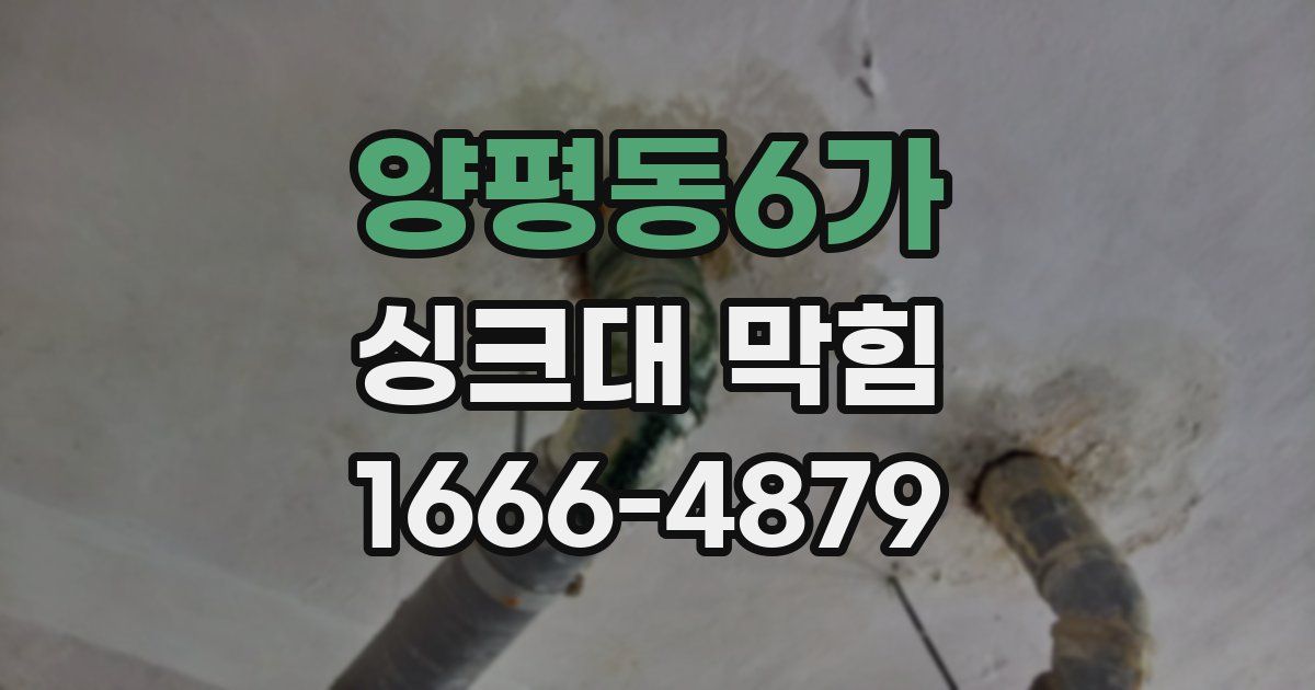 양평동6가 싱크대 막힘